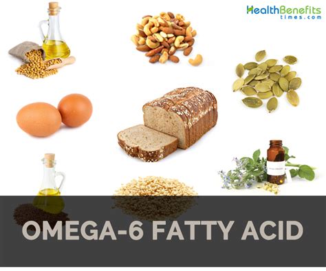 foods with high omega 6|omega 6 fatty acids sources.